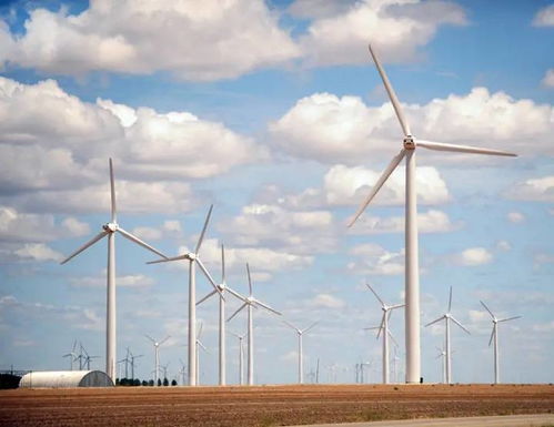 建風(fēng)機制造廠 簽全球最大儲能項目,中企助力沙特發(fā)展清潔能源