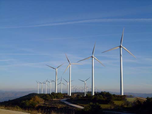 乘風而上 風能發電的廣闊前景與時代機遇